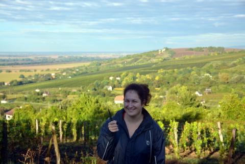 Muzslai szőlőhegy szüreti időben