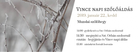 Vince napi szőlőjárás és áldás 2019-ben