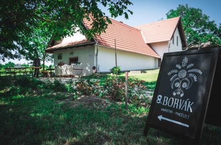 Borvák Pincészet a Muzslai Bortúrán