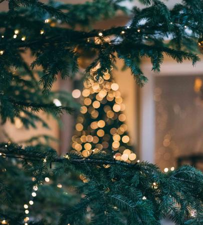 Adventi Borvásár és Nyitott Pince