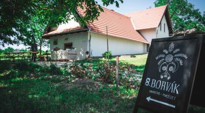 Borvák Pincészet a Muzslai Bortúrán
