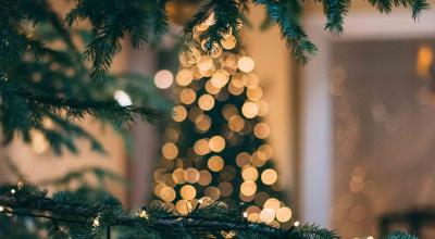 Adventi Borvásár és Nyitott Pince